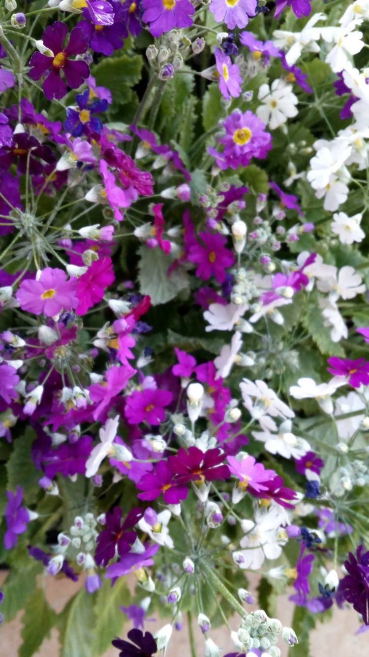 今朝は良い天気?