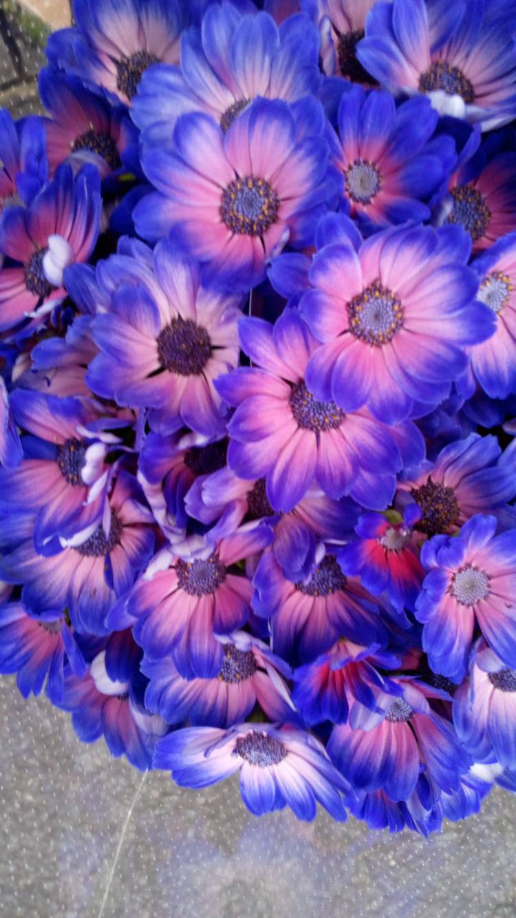 天気は良いのに～