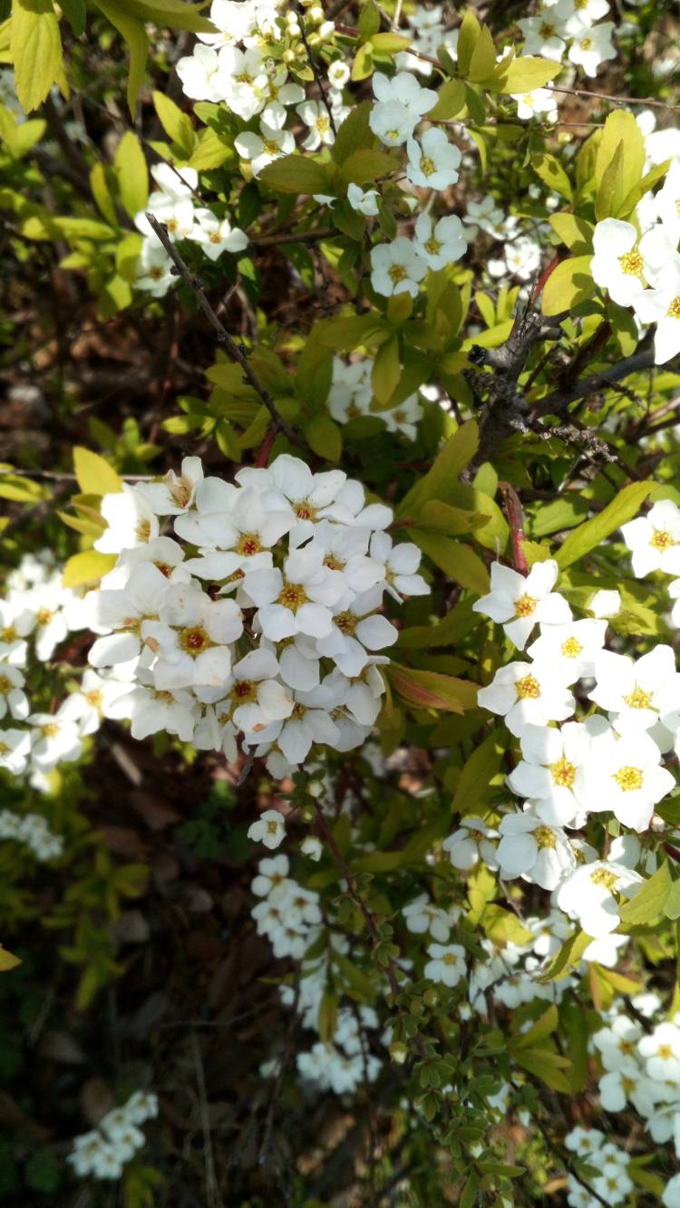 休日の日曜日には