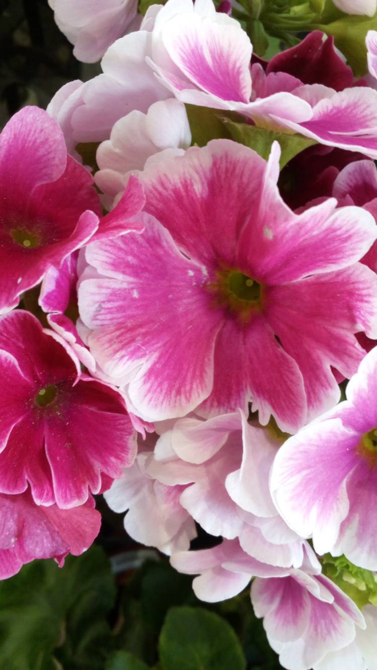 ありがと～うm(_ _)m?