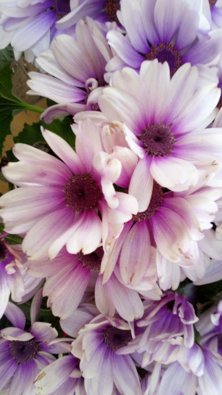 有り難うございました?