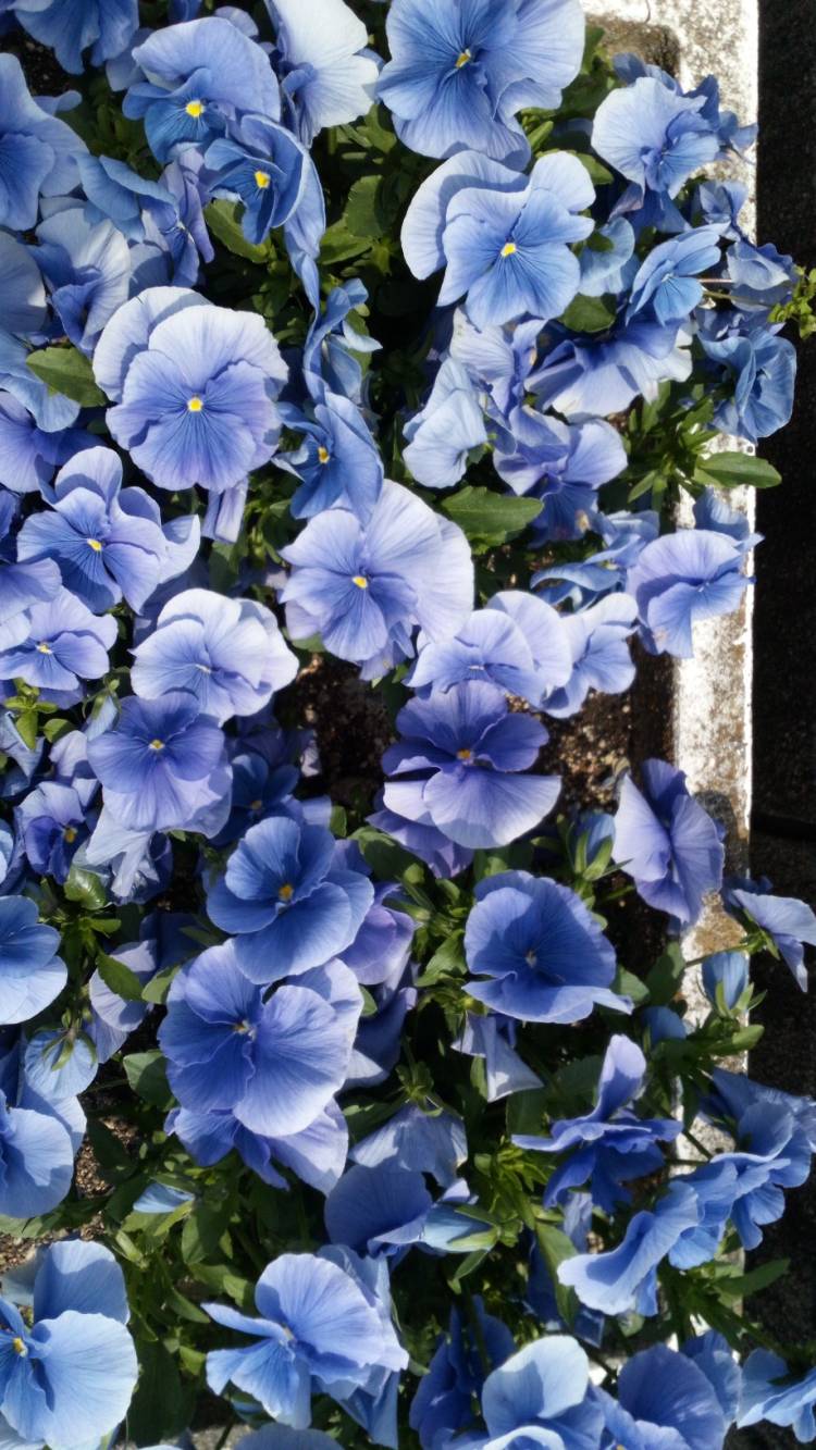 帰宅時間には～?