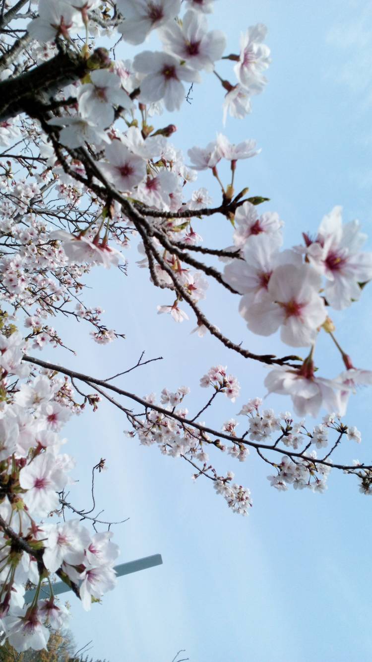 ??今朝は青空～