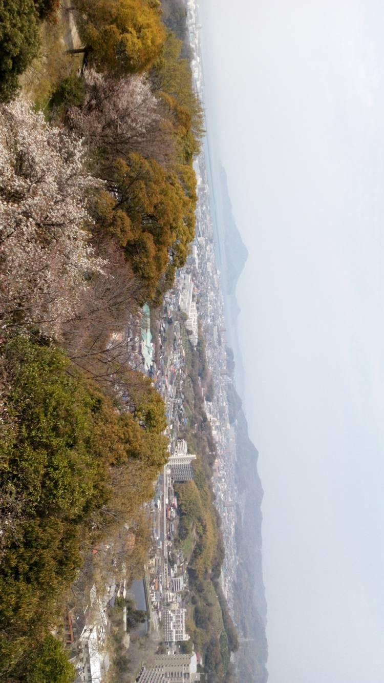 細い小雨がポツポツ～