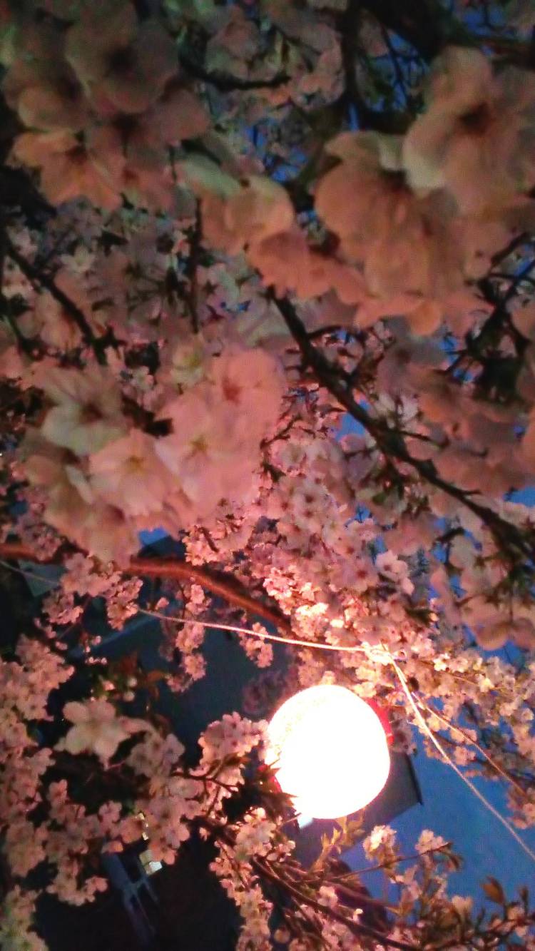 夜でも暖かに～?