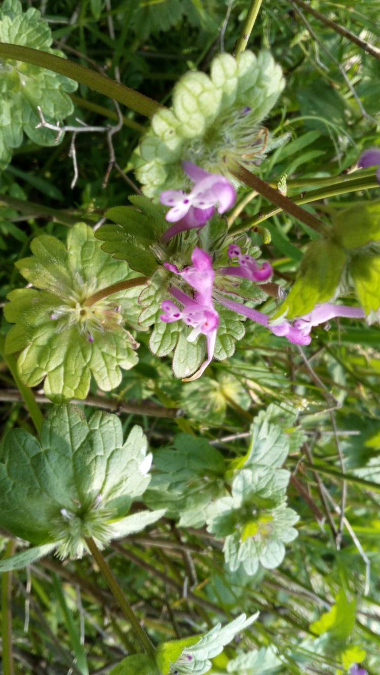 天気が良いと～