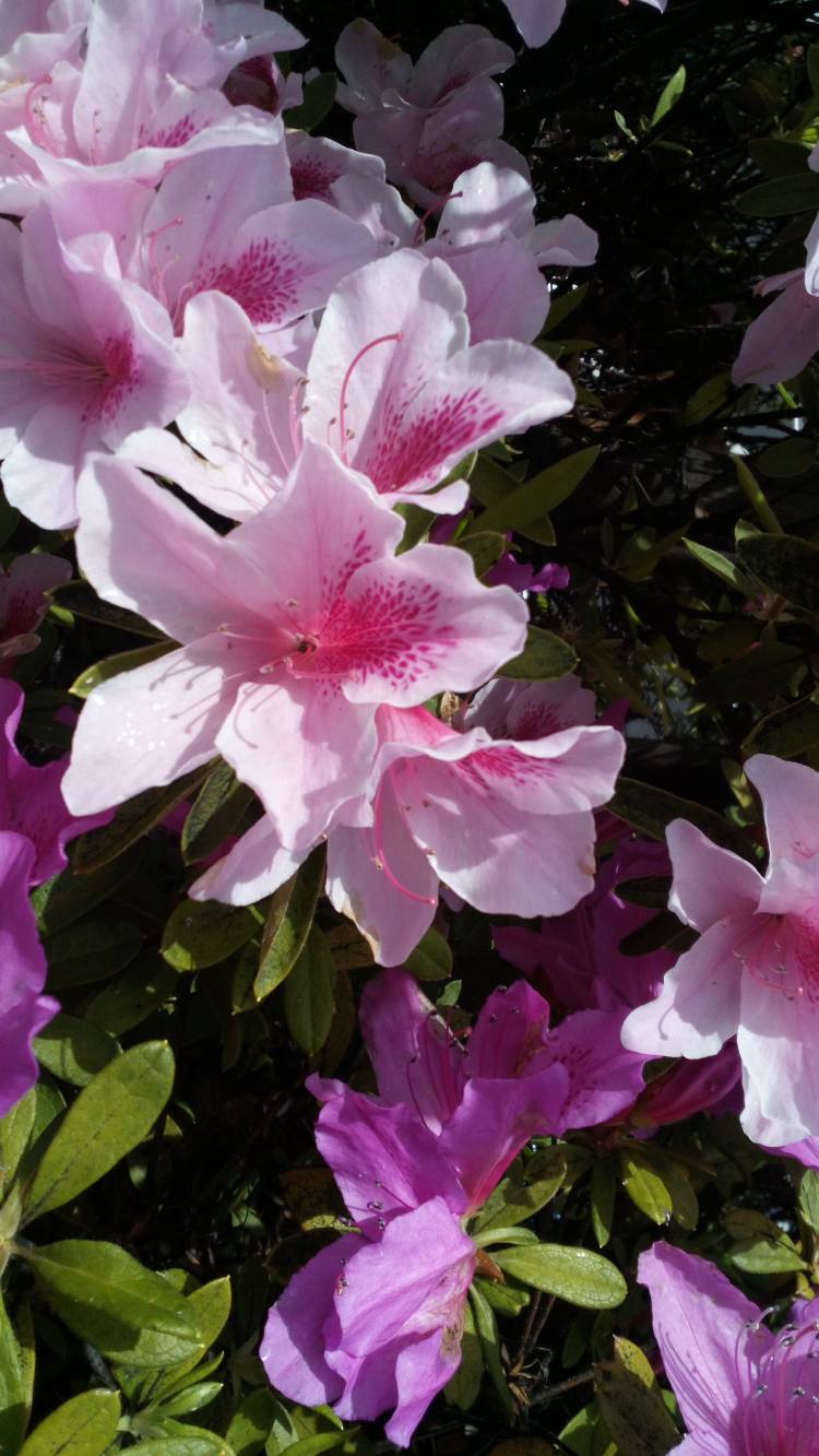 雨上がり夜はまだ肌寒いです?