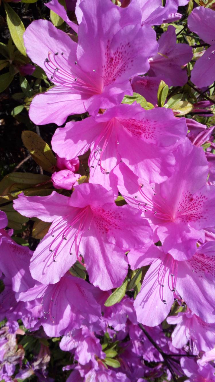 日中は暖かです?