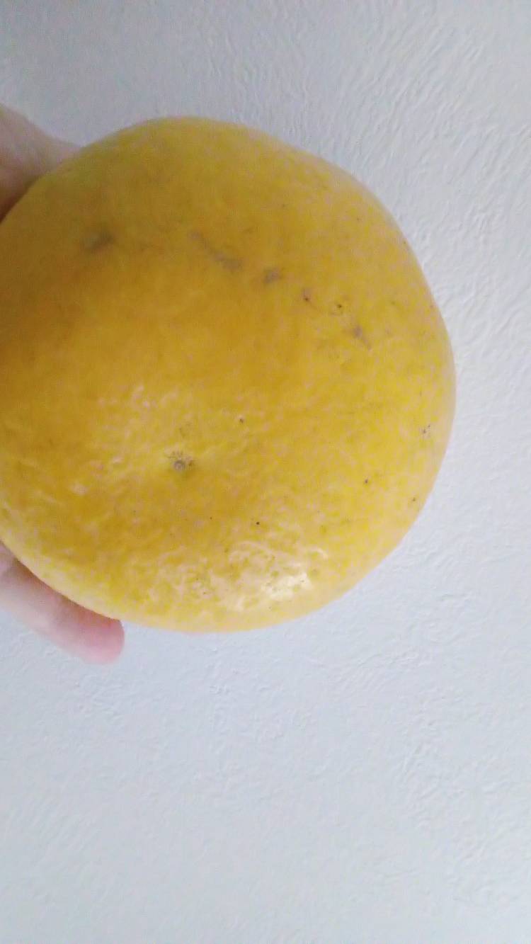 こんにちは???