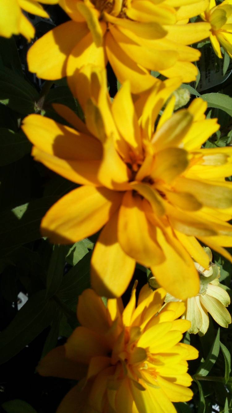 ただいま出勤中?