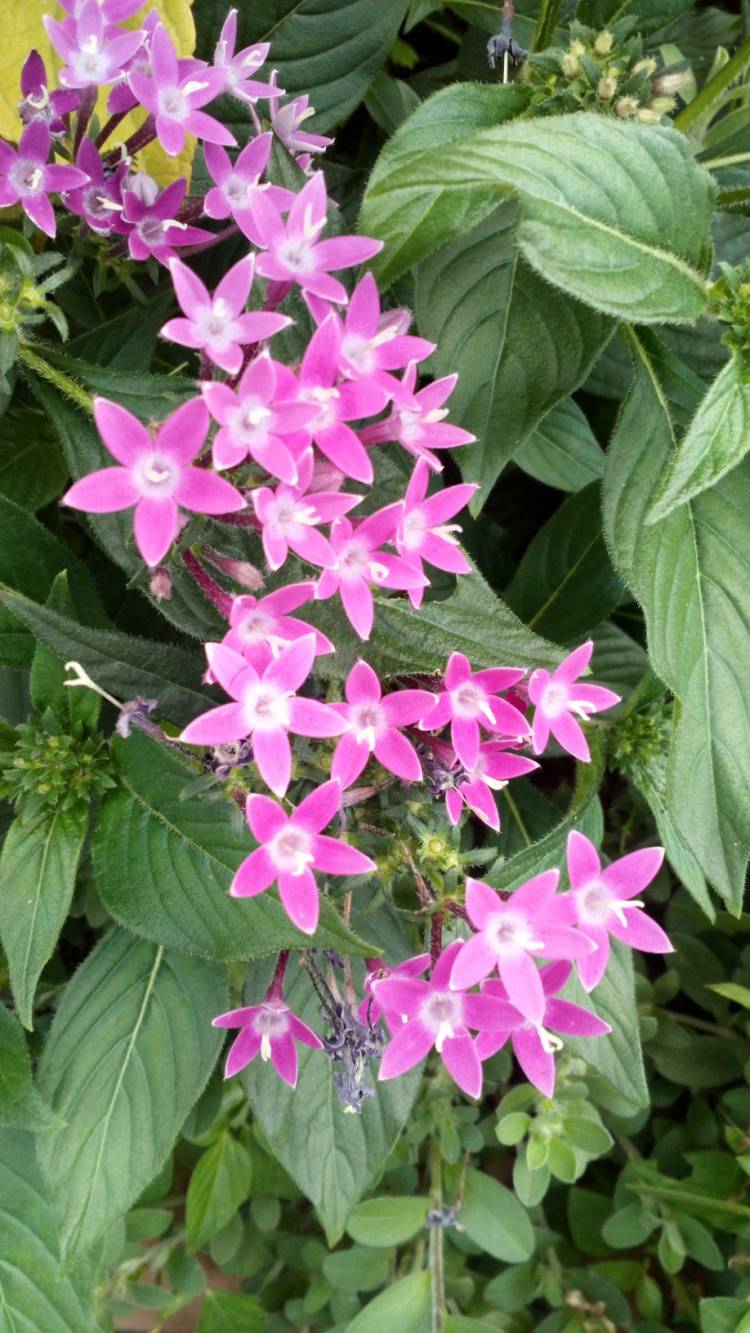 出勤しました?