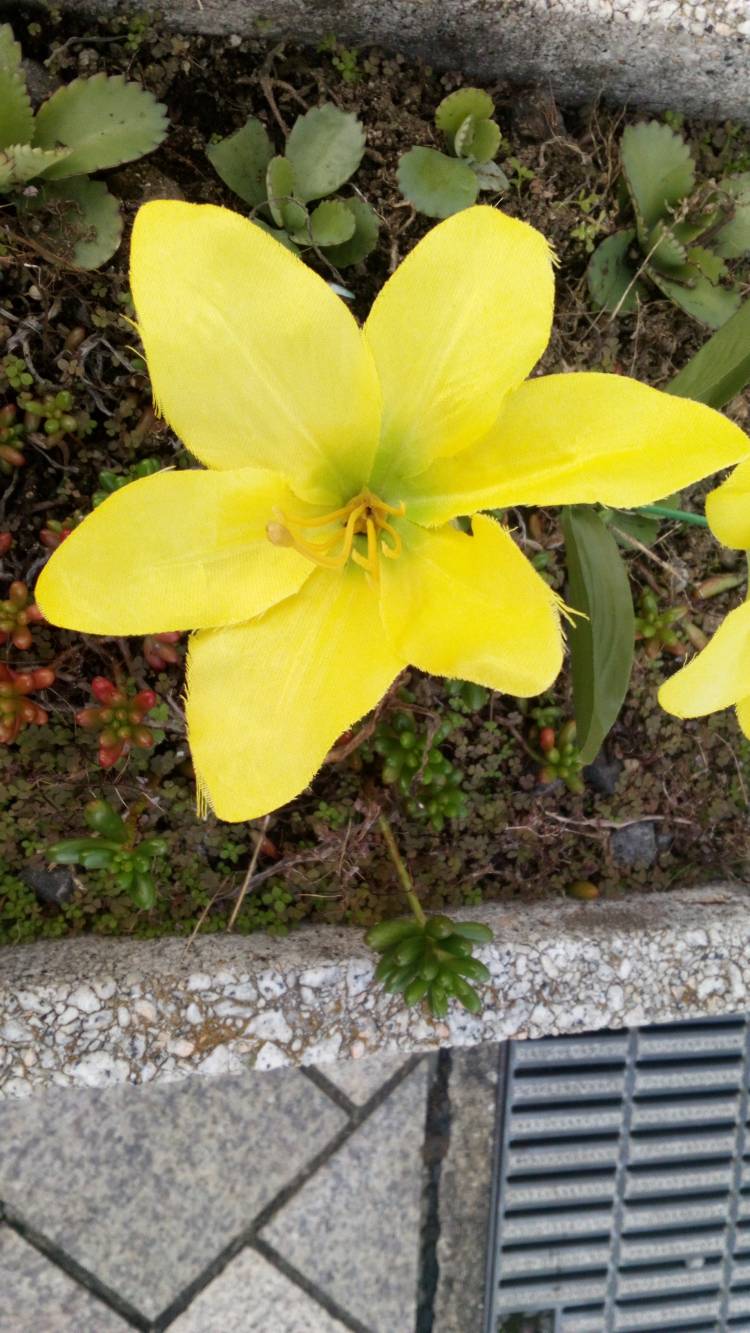こんにちは??
