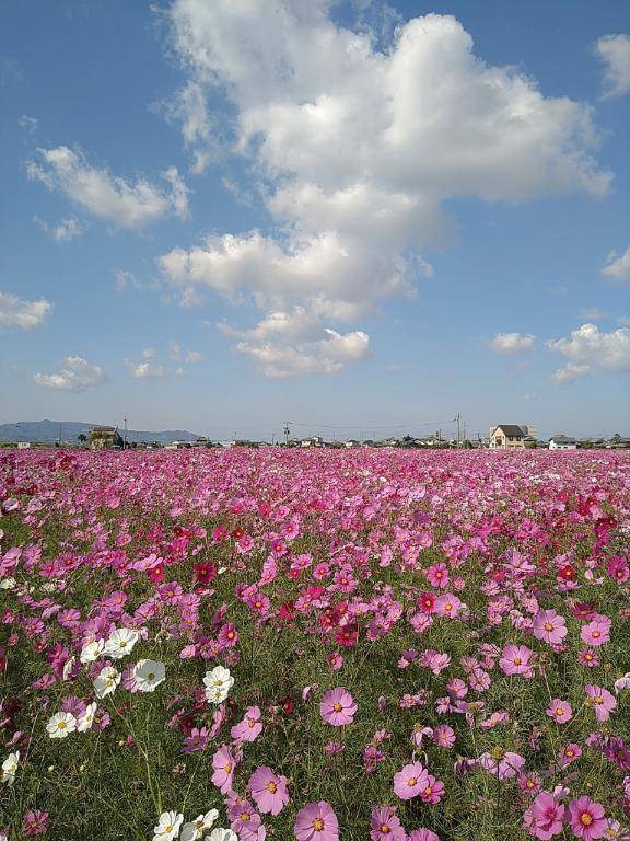 The beginning of a new week(*???*).｡.:*?