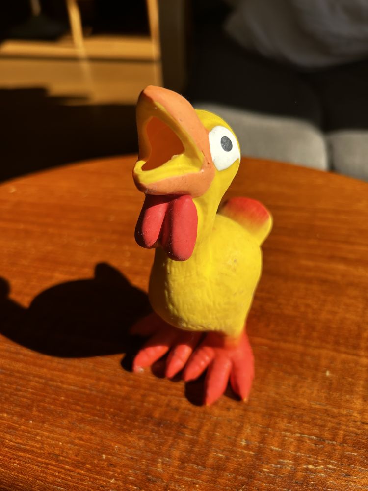 【初の水菜(´；ω；｀)】