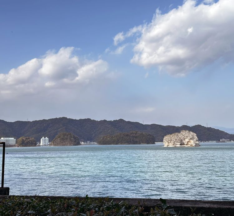 【こんな時間にまず起きないワタシ(* ᐕ)】