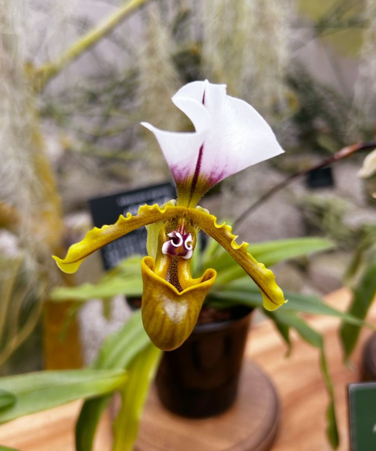 【当たり前じゃないがイイ( *´艸`)】