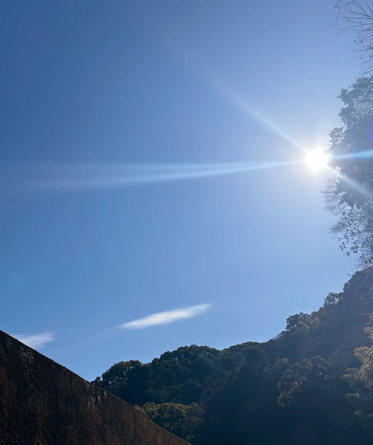 【ナギ(*´ω｀*)】