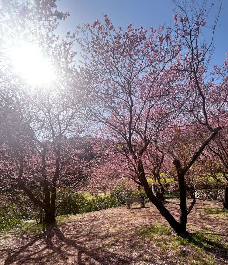 【毎日違って毎日いい( ¨̮ )💕】