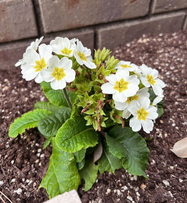 【思いの丈を(∩´∀｀＠)⊃】