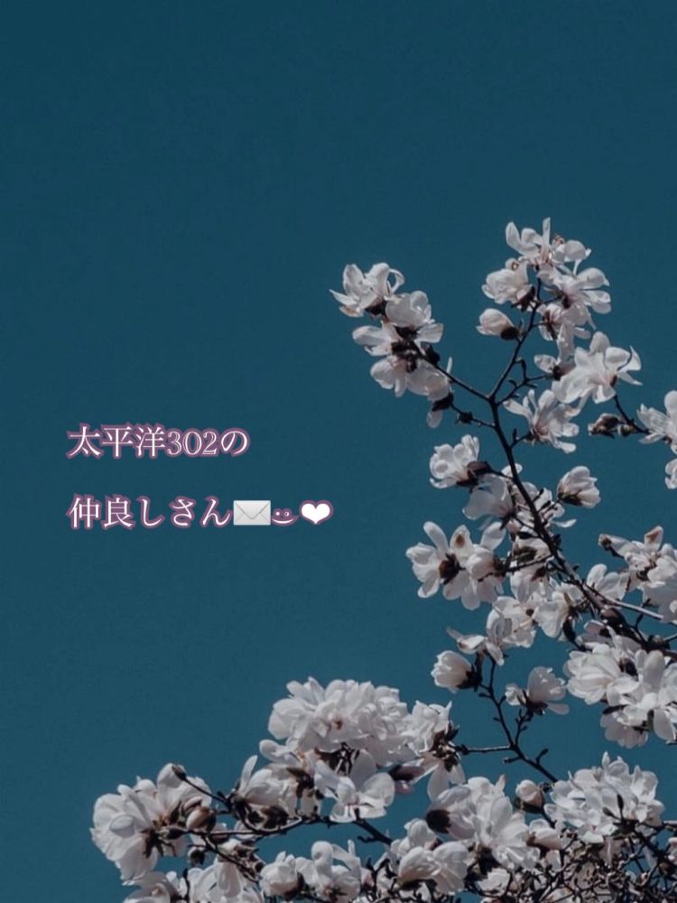 言ってたとおりの🌙* :ﾟ💌𓂃𓈒𓂂𓏸