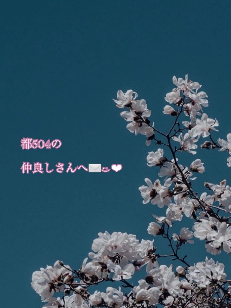 テンポばっちり🌙* :ﾟ💌𓂃𓈒𓂂𓏸