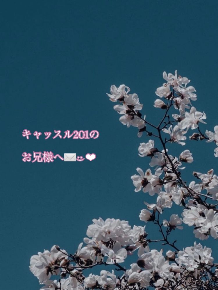 ご奉仕好き同士🌙* :ﾟ💌𓂃𓈒𓂂𓏸