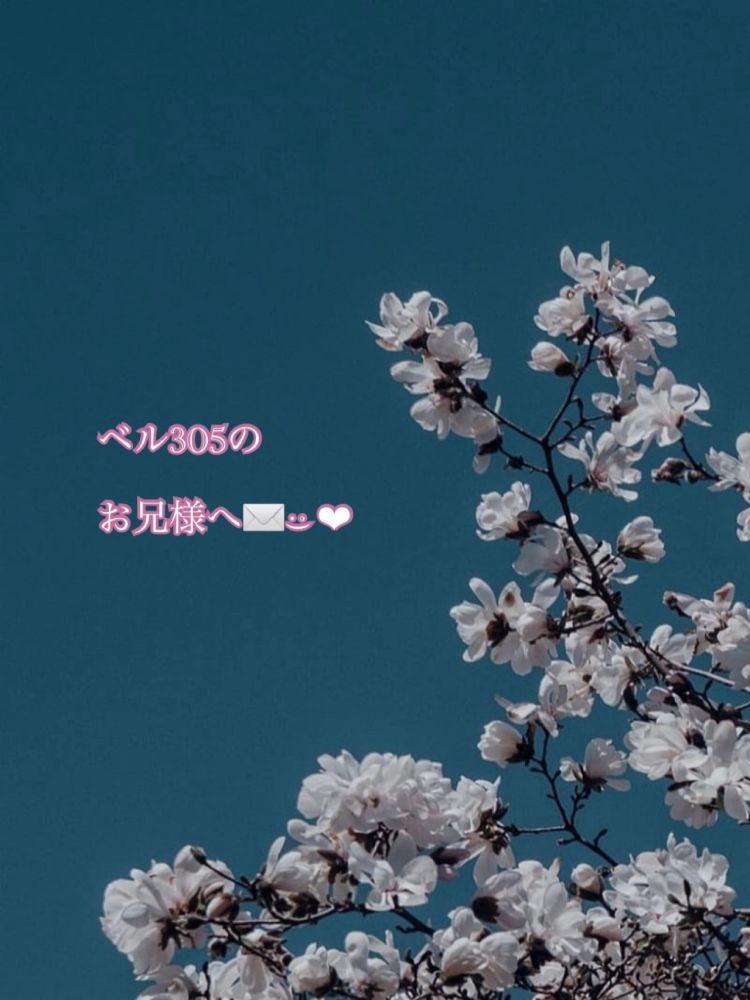 ツッコミの天才🌙* :ﾟ💌𓂃𓈒𓂂𓏸