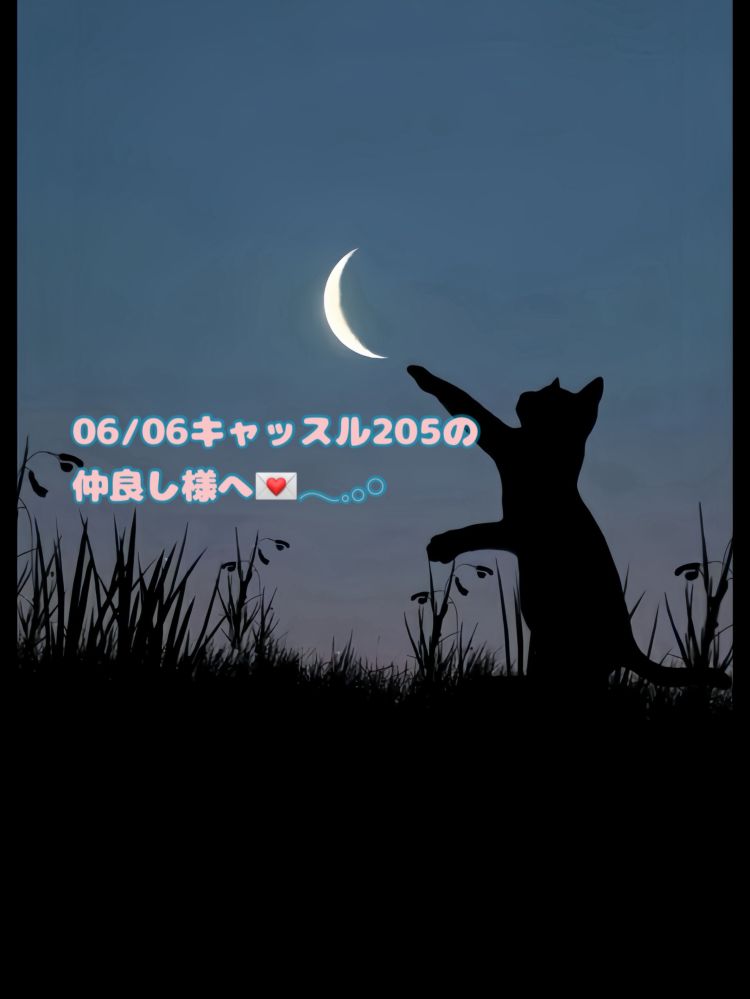 隠れた甘えん坊？🐈‍⬛💌