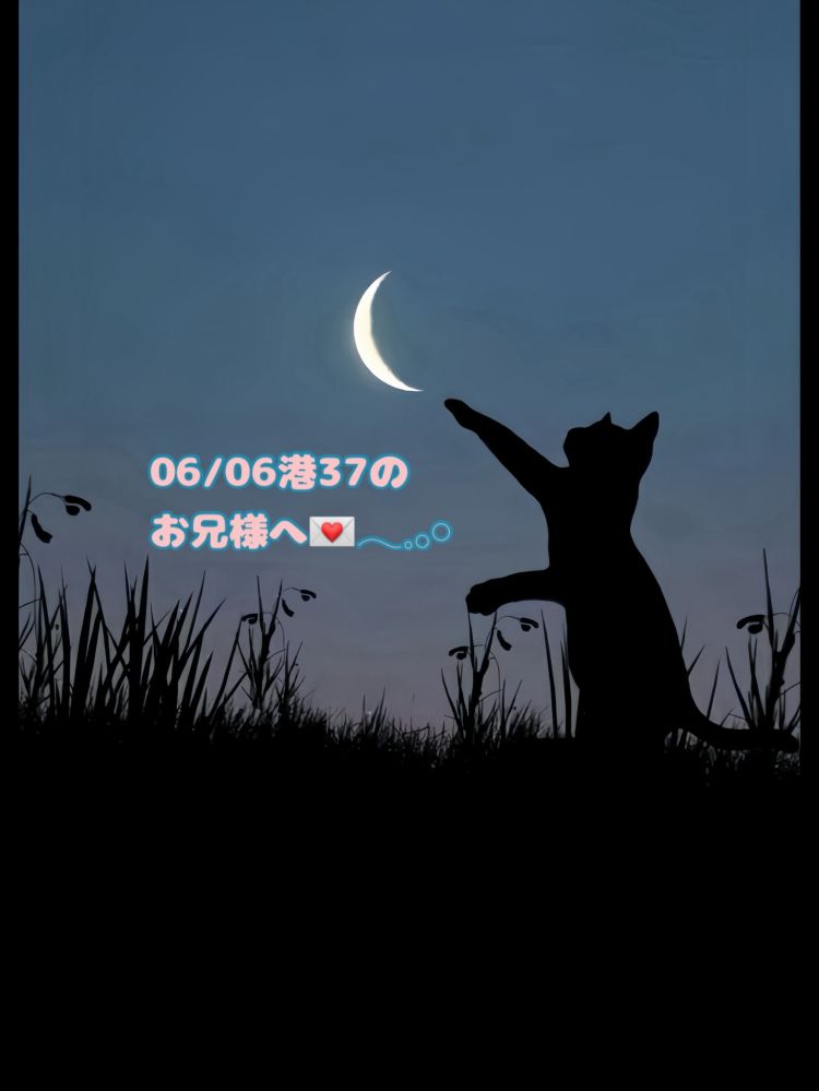 エセの〇〇好き卒業🐈‍⬛💌