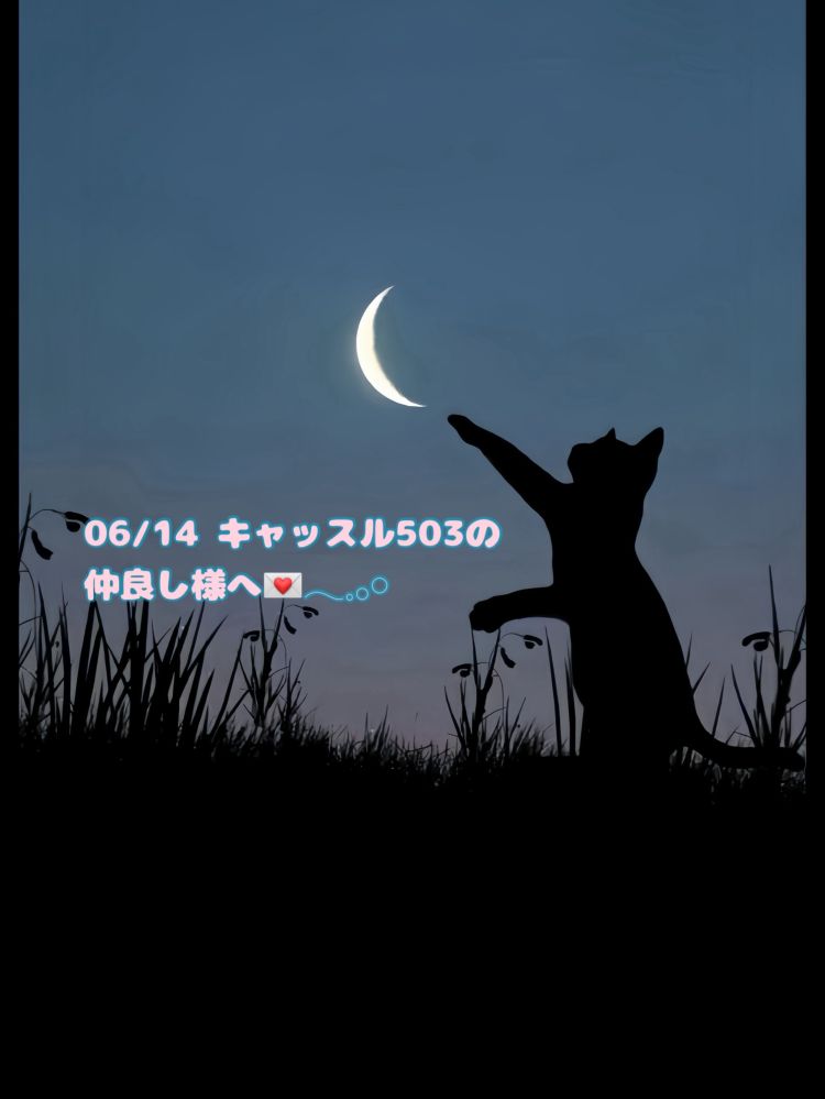 止まらないやめられないっ🐈‍⬛💌