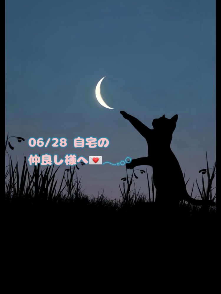 〇〇のだぞっ🐈‍⬛💌