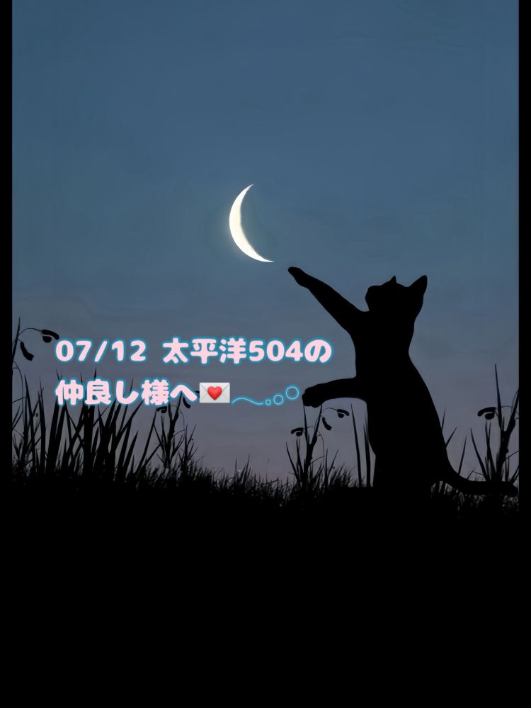 昨日もお〇りの始まりに‪🐈‍⬛💌