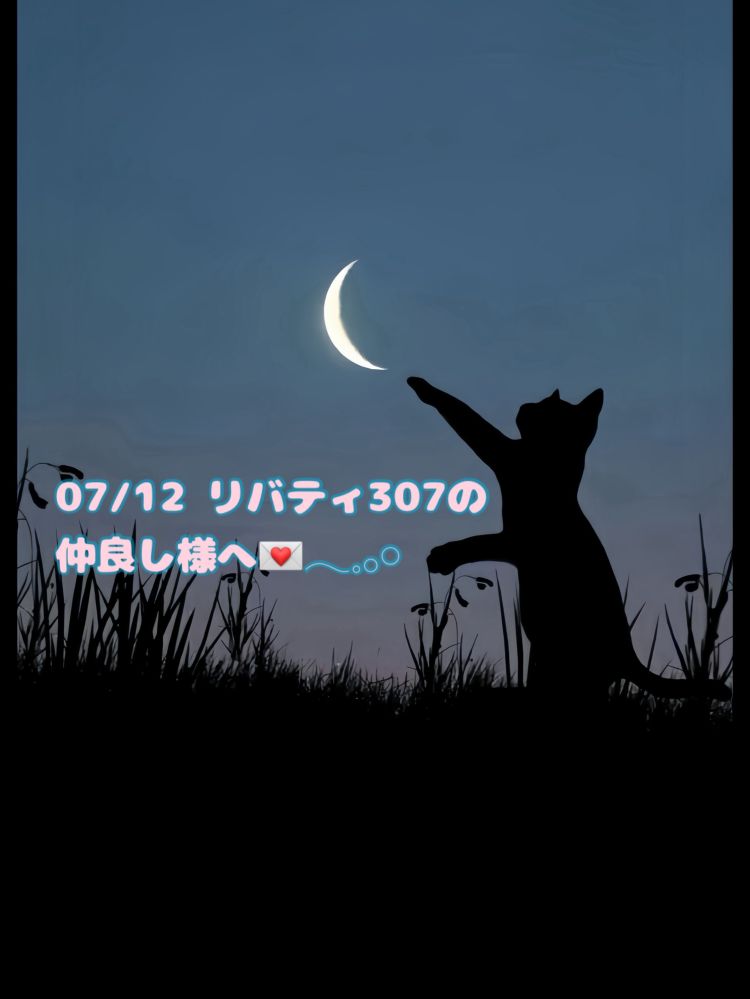 寡黙な雰囲気ドキドキ🐈‍⬛💌