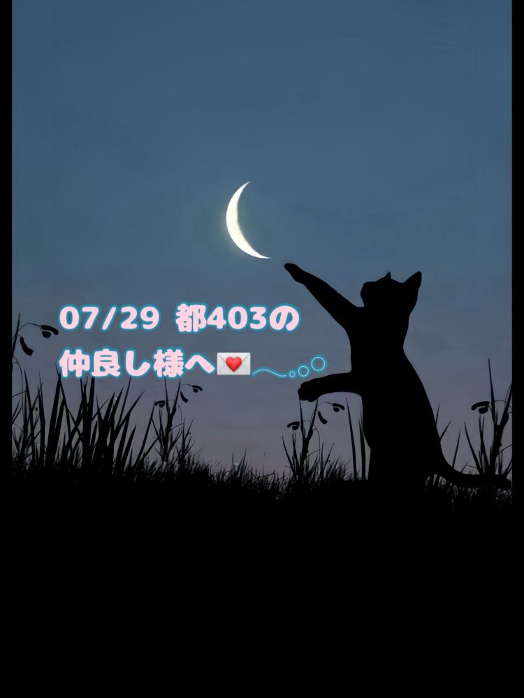 優しさに溢れてる🐈‍⬛💌