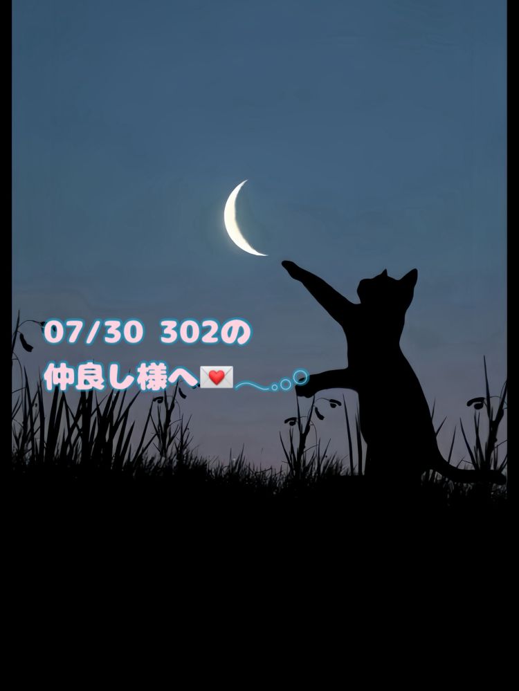 情熱的でとろとろ🐈‍⬛♥️