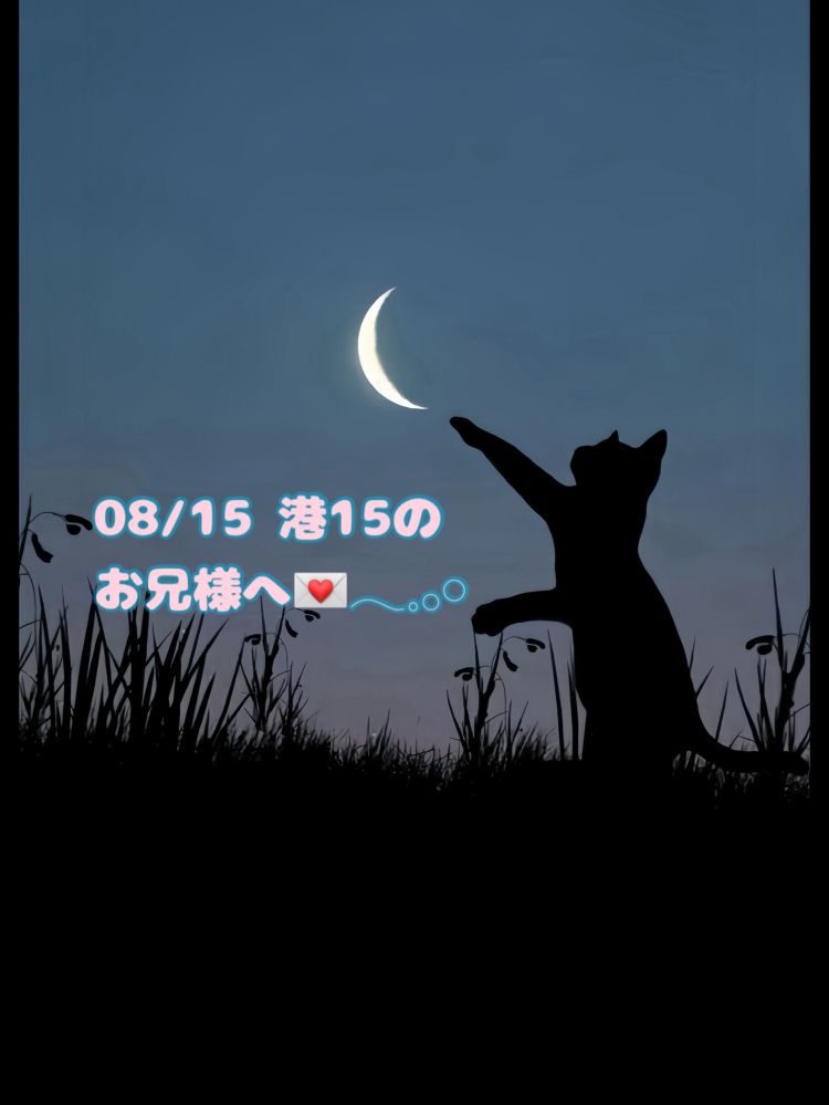 ハッピーな毎日を🐈‍⬛💌