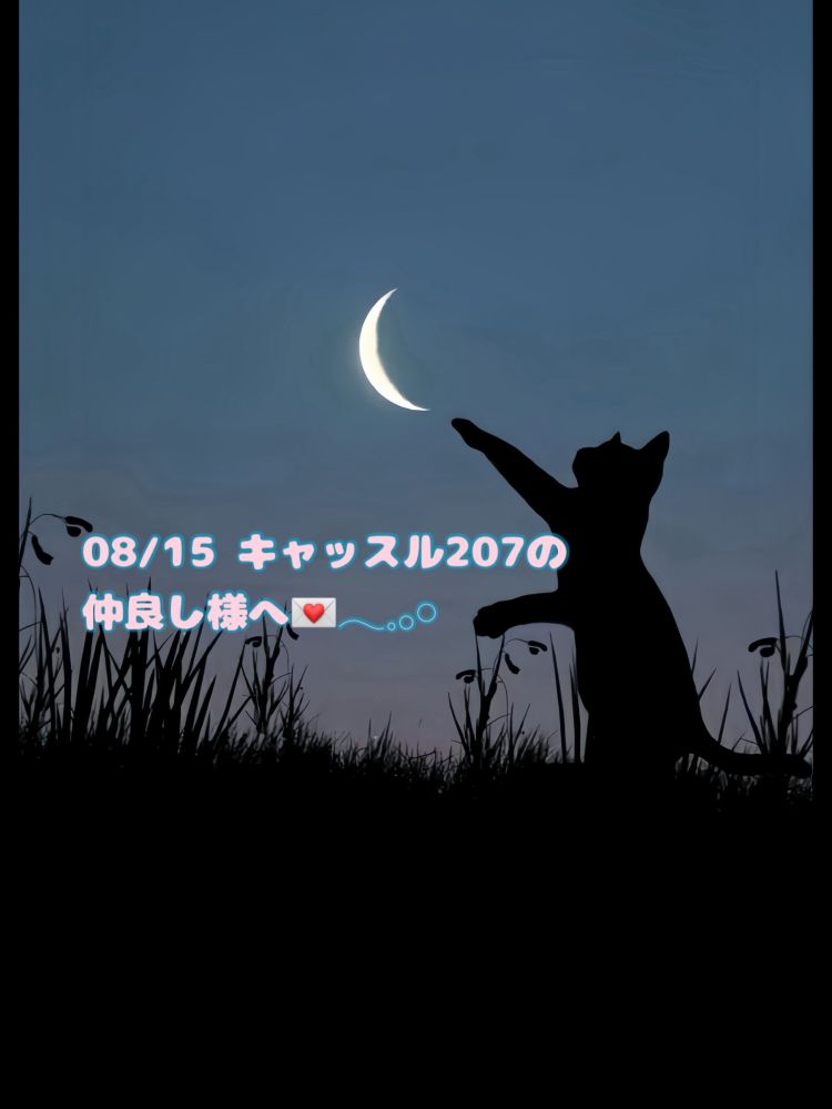 意地悪な表情？🐈‍⬛💌