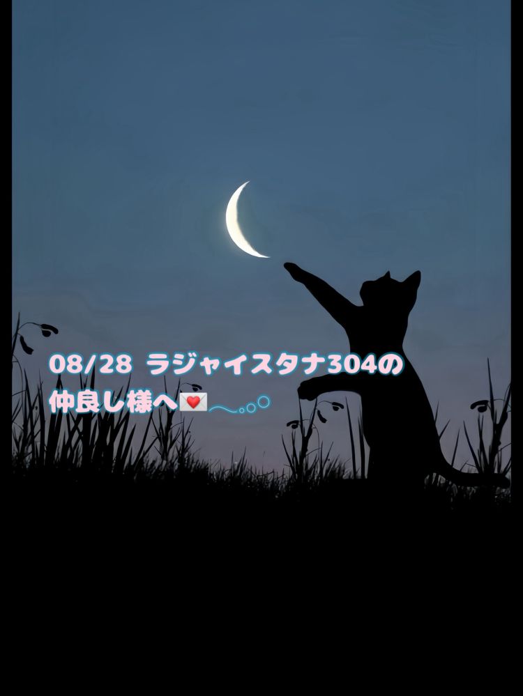 奇跡の連続‪🐈‍⬛💌