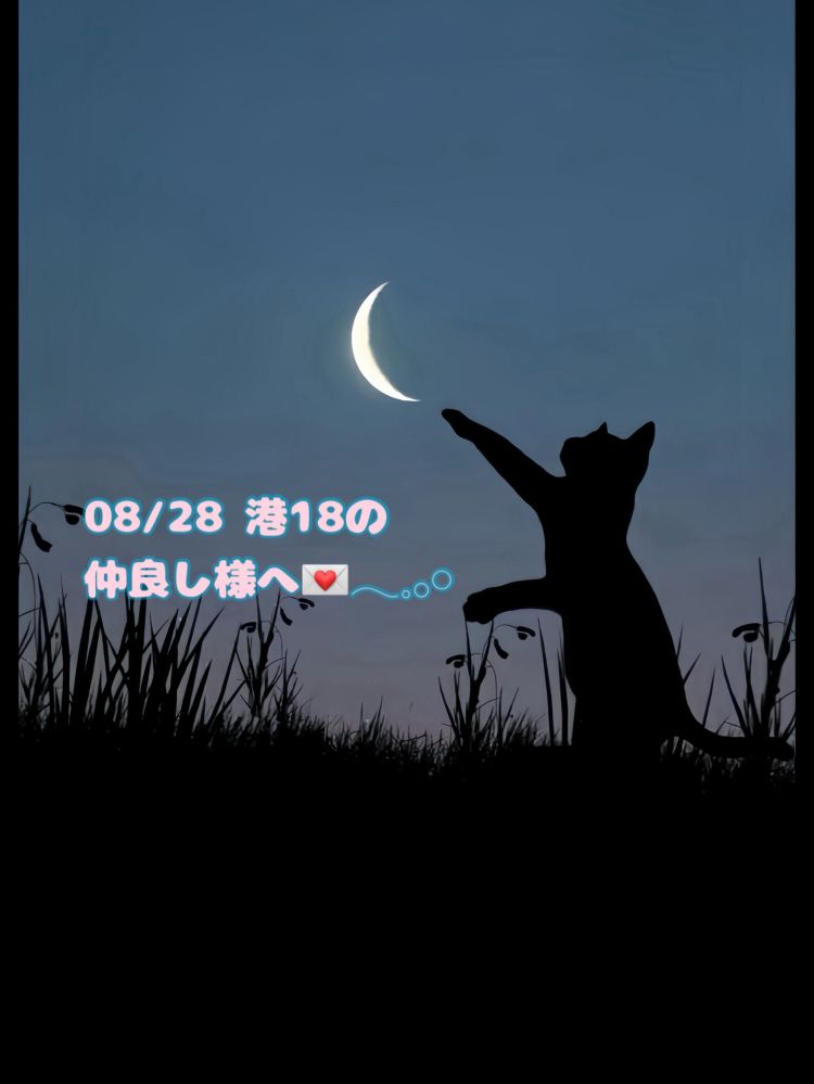 早くから降参っ‪🐈‍⬛💌