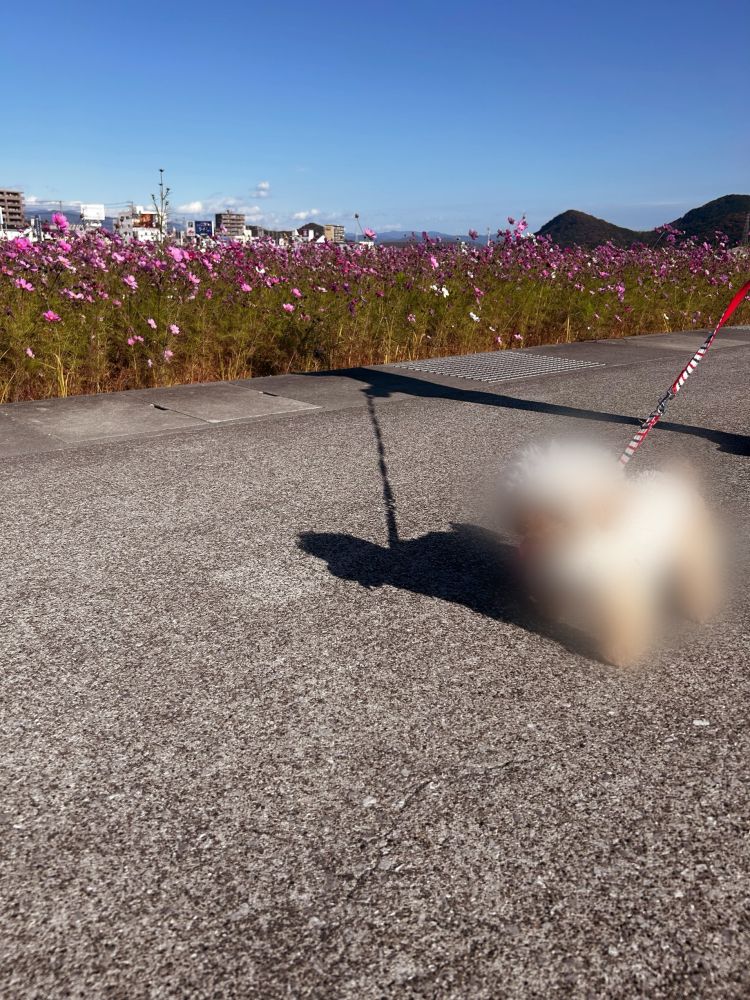 【久しぶりに出没します(∩´∀`∩)💕】