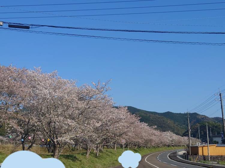 間に合った(*´∀｀)