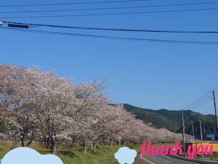 ありがとうございます(*^^*)