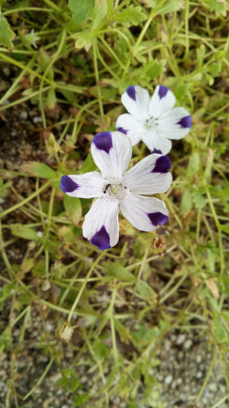 今日も一日ありがとうございました??