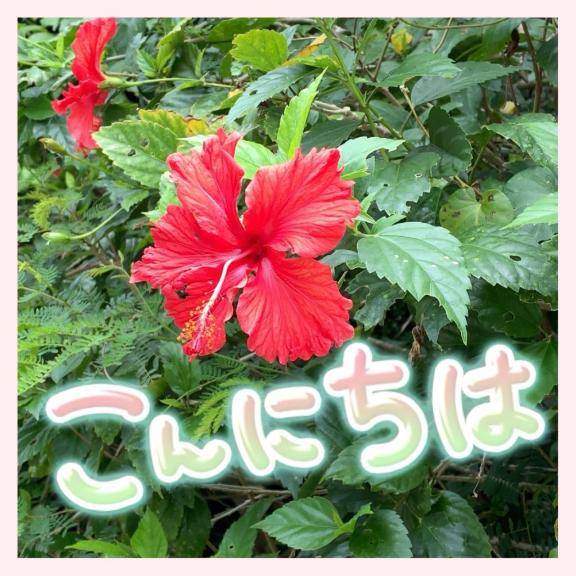 一言目は「暑ーい??」からはじまる☆