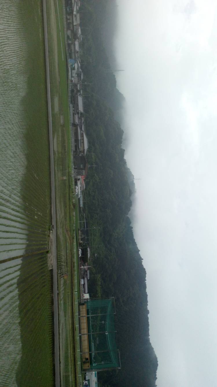 暑くなりますね??