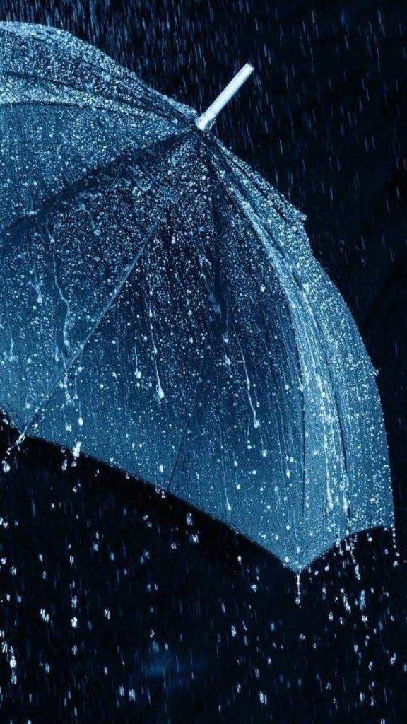 梅雨入りしてるはずが…晴天つづき