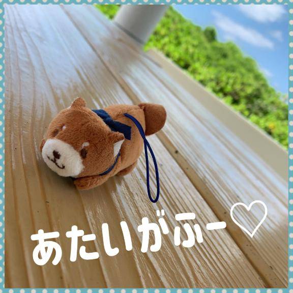 幸せ計画?