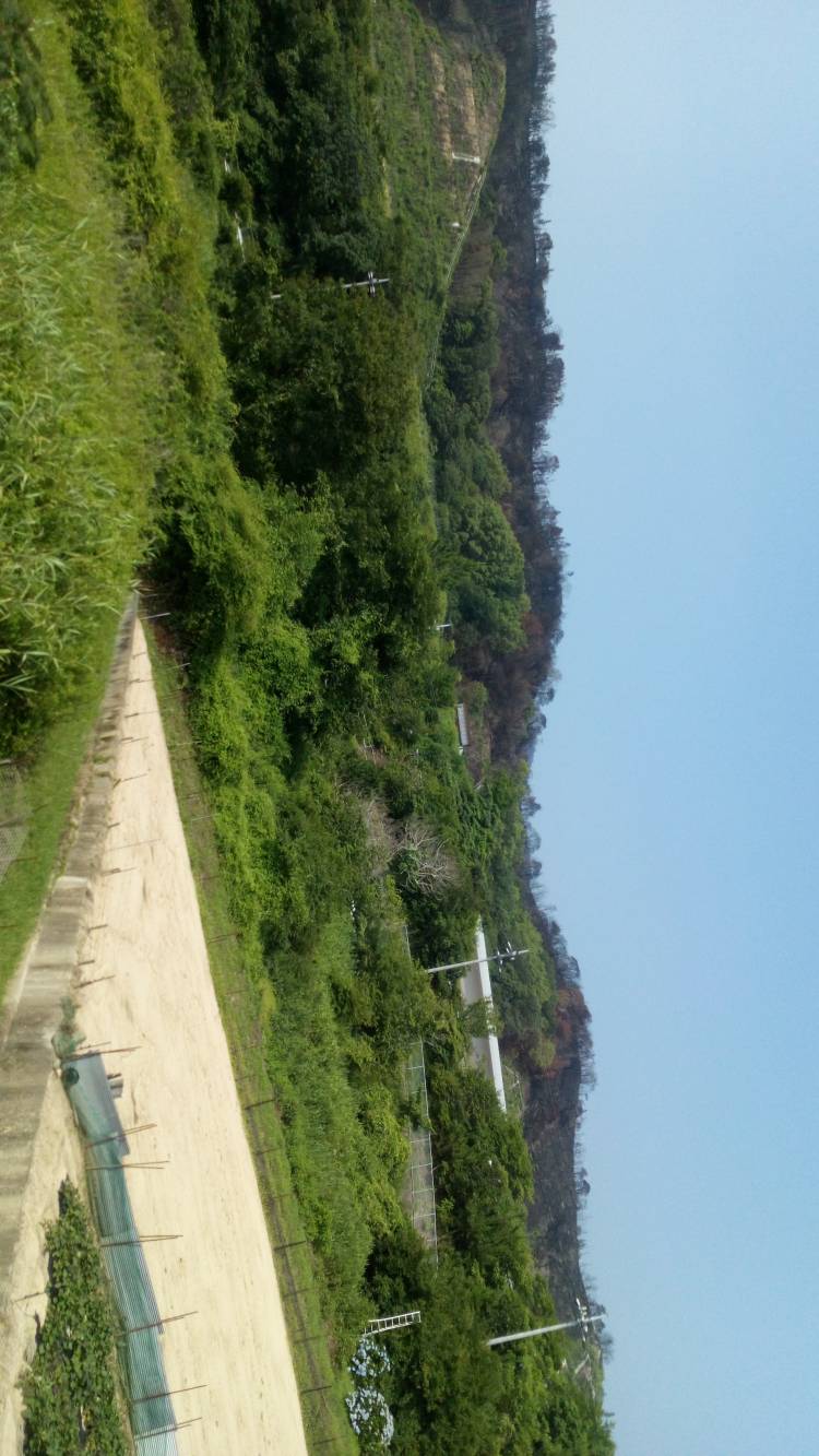 おはようございます????♀?