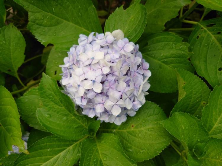 おはようございます(^^)