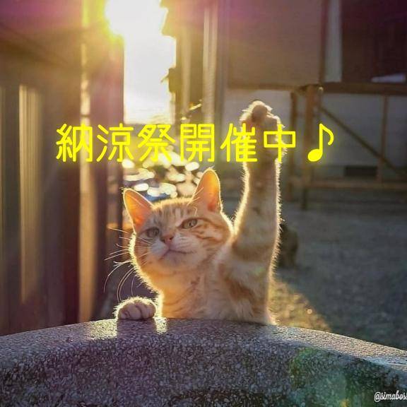 Pickup覗いてね♪割引きしてます♪